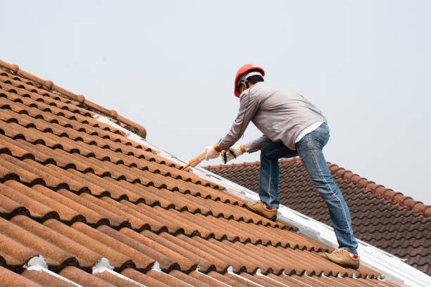 Best Roof Insulation Installation  in Cape Neddick, ME